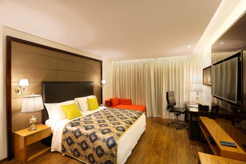 Udupi Sri Krishna Temple